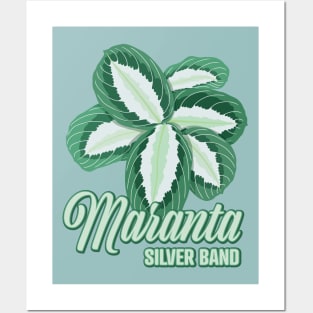 Maranta Silver Band Posters and Art